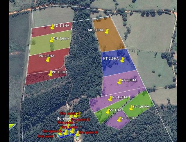 FARM FOR SALE IN PLETTENBERG BAY RURAL